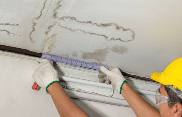 Reliable Structural Drying contractor in New Springfield, OH by Water Damage Irwin